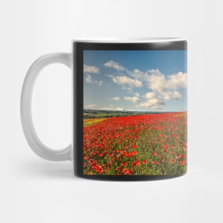 Summer in Durham Mug